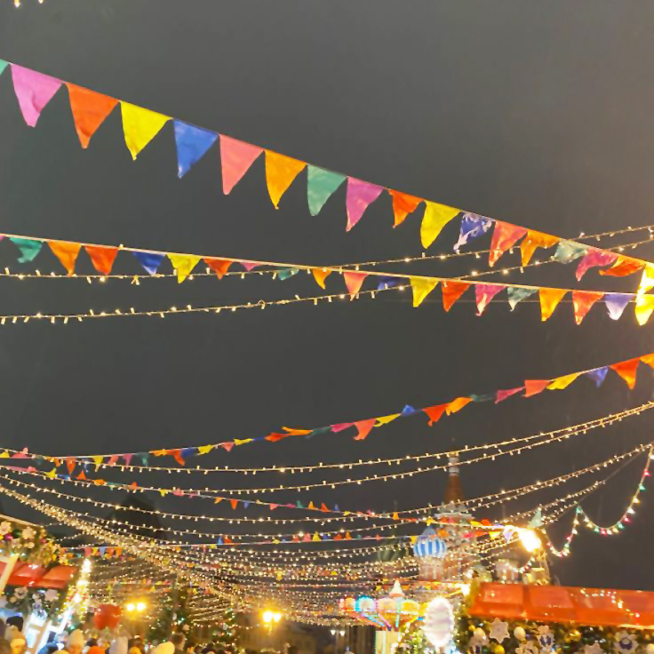 ГирляндаУличнаяФлажковая_7