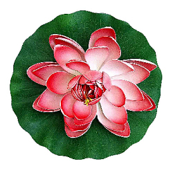 Лилия плавающая 28х28 см алый