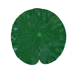 Лист кувшинки 20х20 см